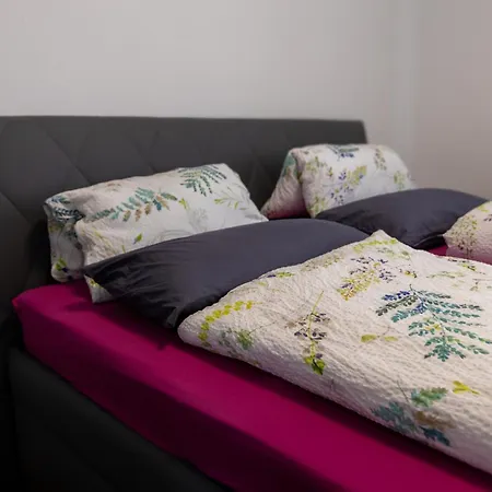 Casa Pinos فريدريشسهافن